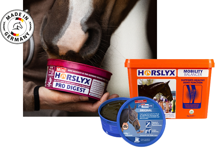 Banner Horslyx Banner Horslyx